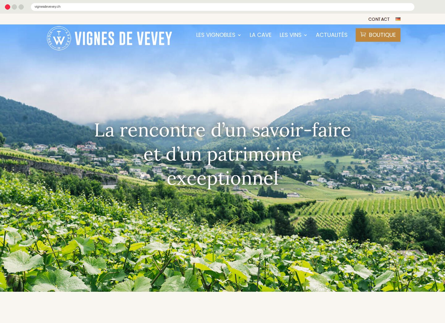 Page d'accueil de vignesdevevey.ch
